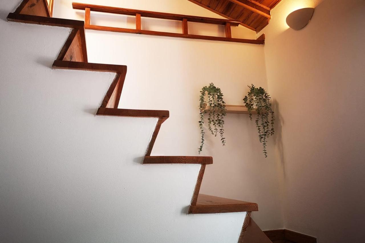 Alegria Center Appartement