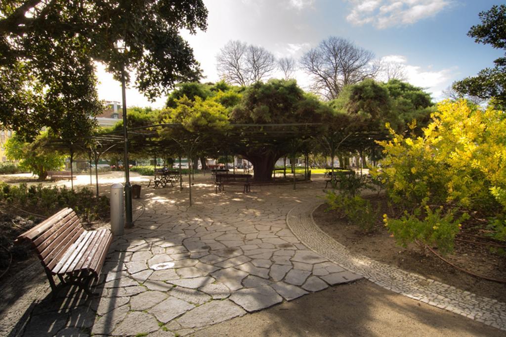 Apartamento Alegria Center Lisboa